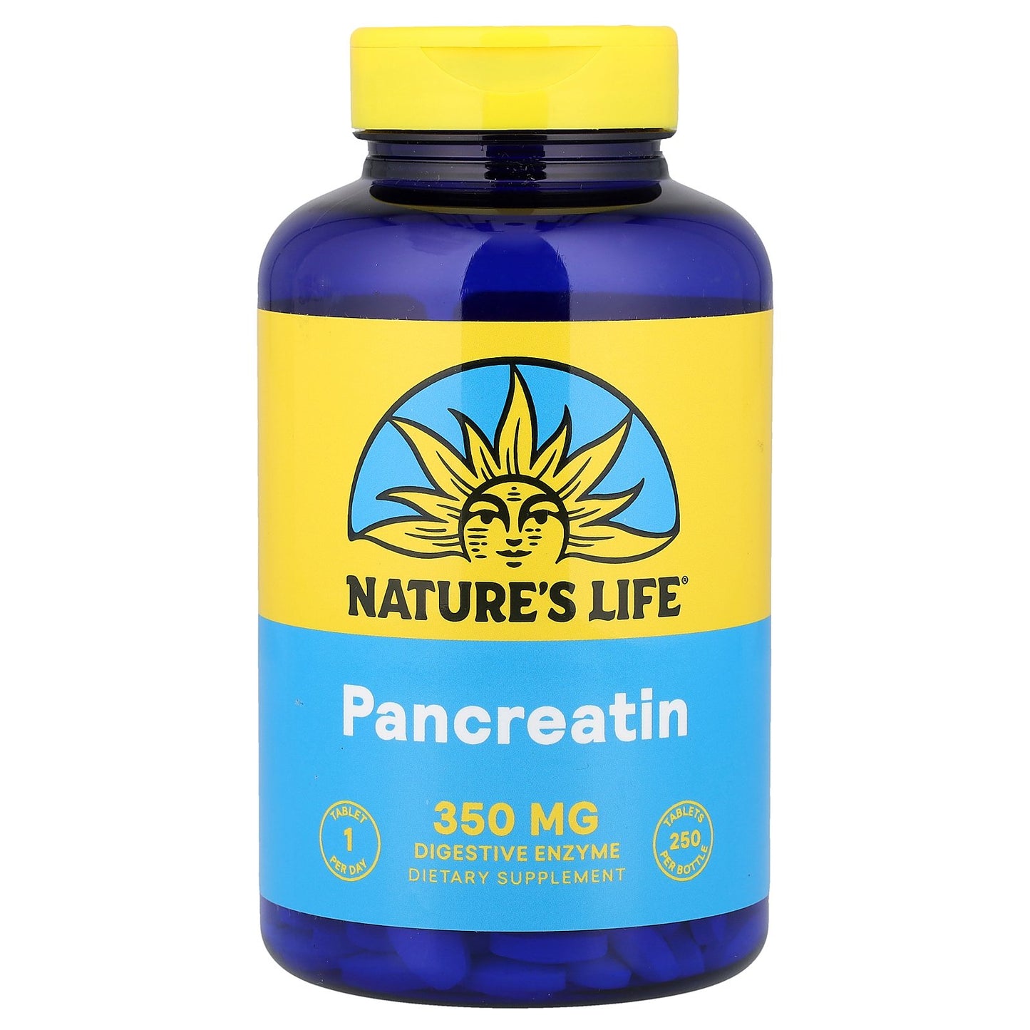 Nature's Life, Pancreatin, 250 Tablets