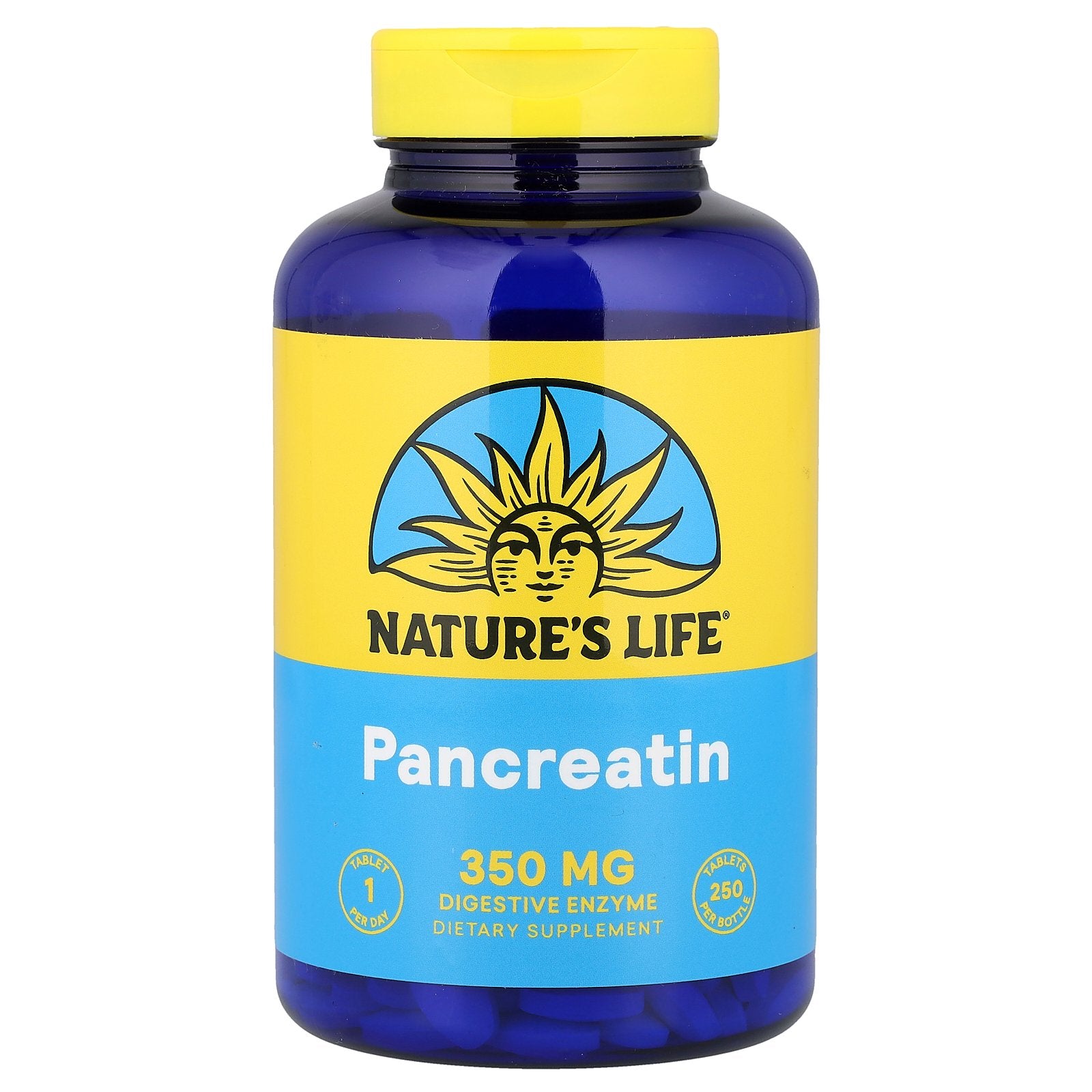 Nature's Life, Pancreatin, 250 Tablets