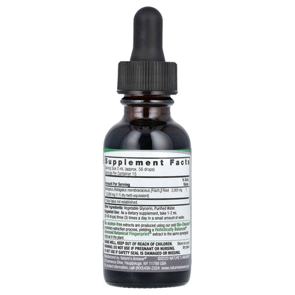 Nature's Answer, Astragalus Root, Fluid Extract, Alcohol-Free, 2,000 mg, 1 fl oz (30 ml)
