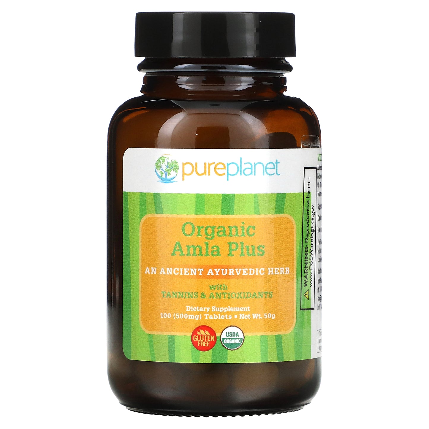 Pure Planet, Organic Amla Plus, 100 Tablets