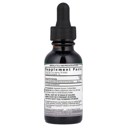 Nature's Answer, Skullcap Extract, Alcohol-Free, 665 mg , 1 fl oz (30 ml)