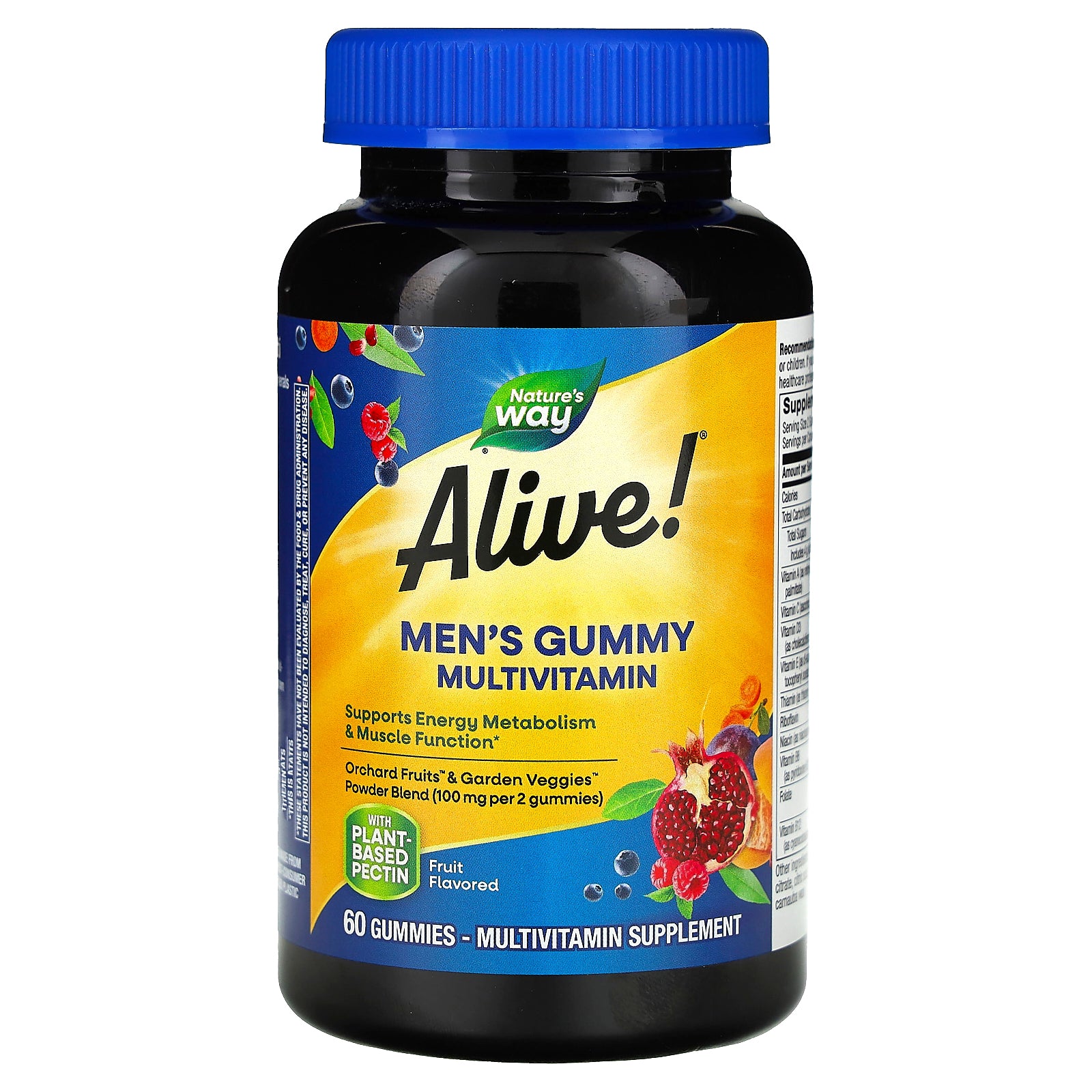 Nature's Way, Alive! Men's Gummy Multivitamin, Fruit, 60 Gummies