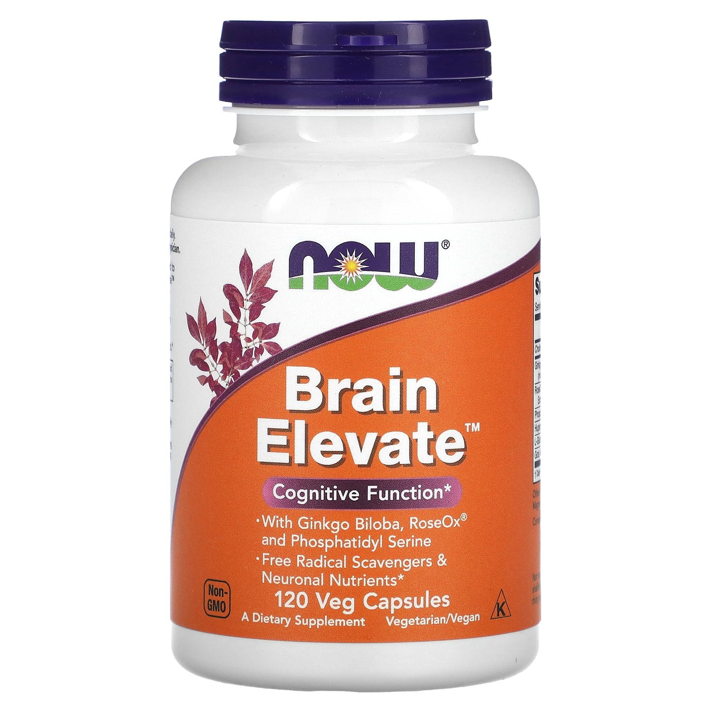NOW Foods, Brain Elevate™, 120 Veg Capsules