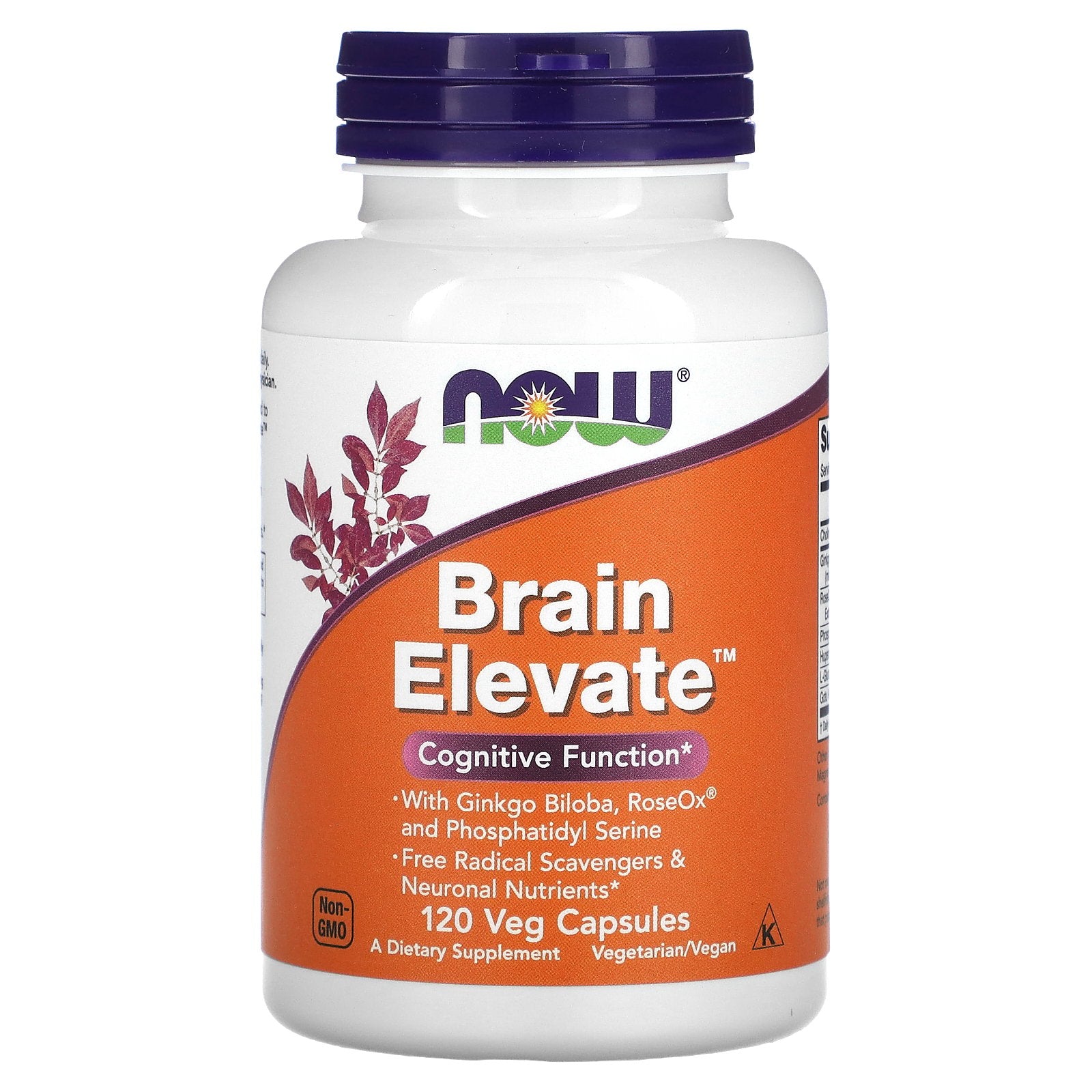 NOW Foods, Brain Elevate™, 120 Veg Capsules