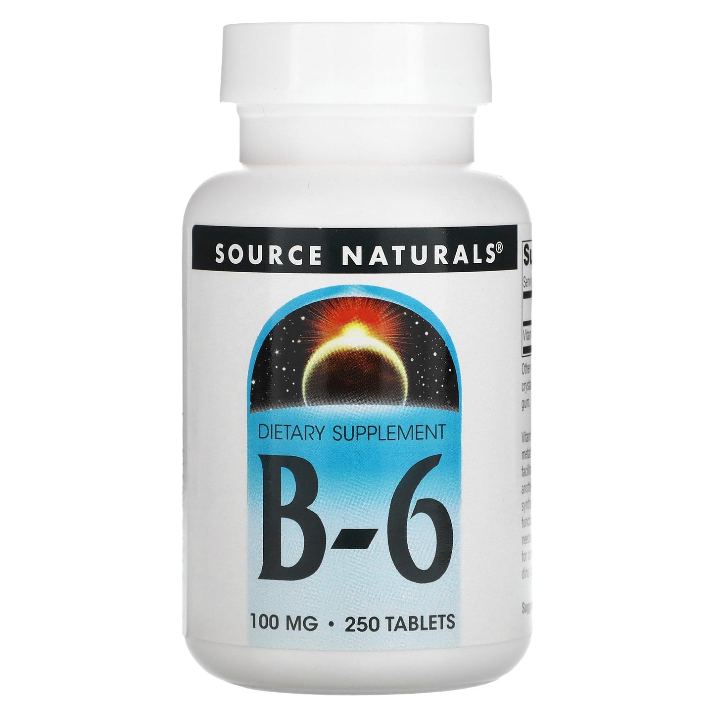 Source Naturals, B-6, 100 mg, 250 Tablets