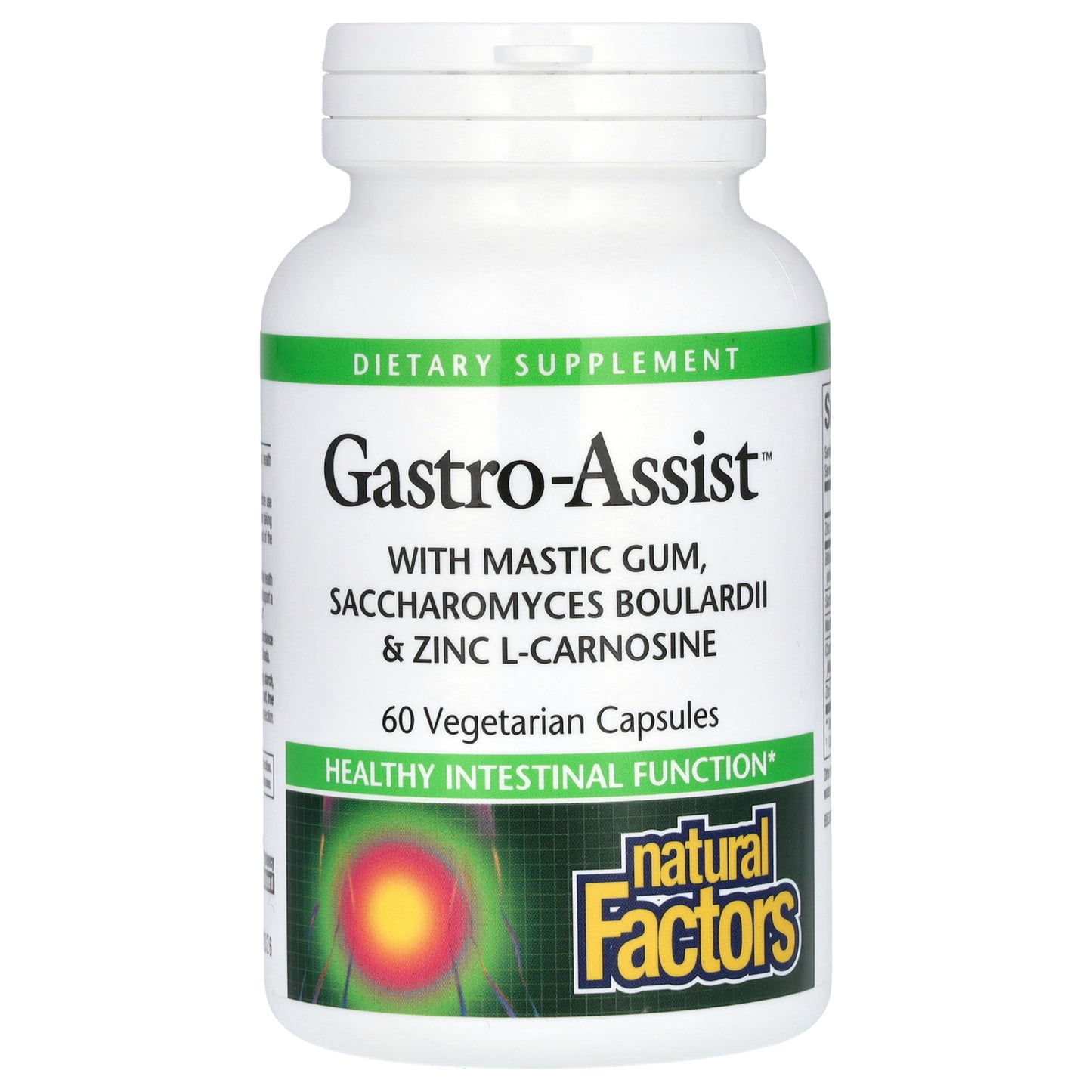 Natural Factors, Gastro-Assist™ with Mastic Gum, Saccharomyces Boulardii & Zinc L-Carnosine, 60 Vegetarian Capsules