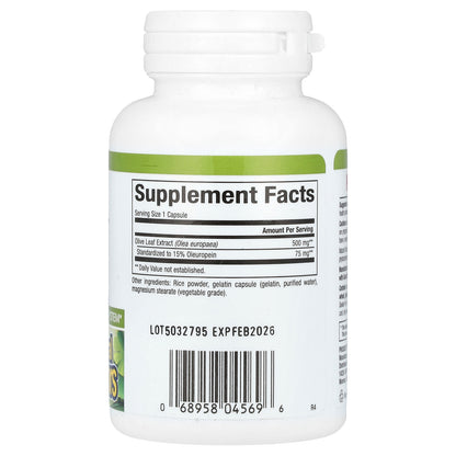 Natural Factors, HerbalFactors, Olive Leaf, 500 mg, 60 Capsules