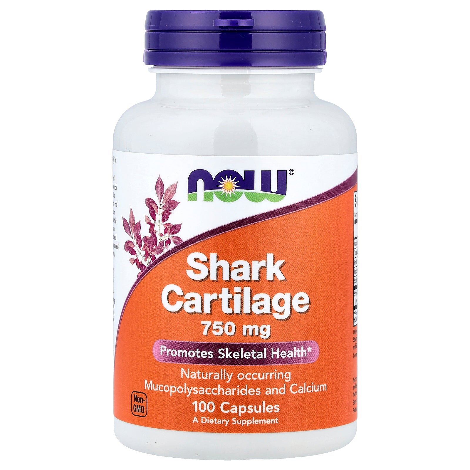 NOW Foods, Shark Cartilage, 100 Capsules