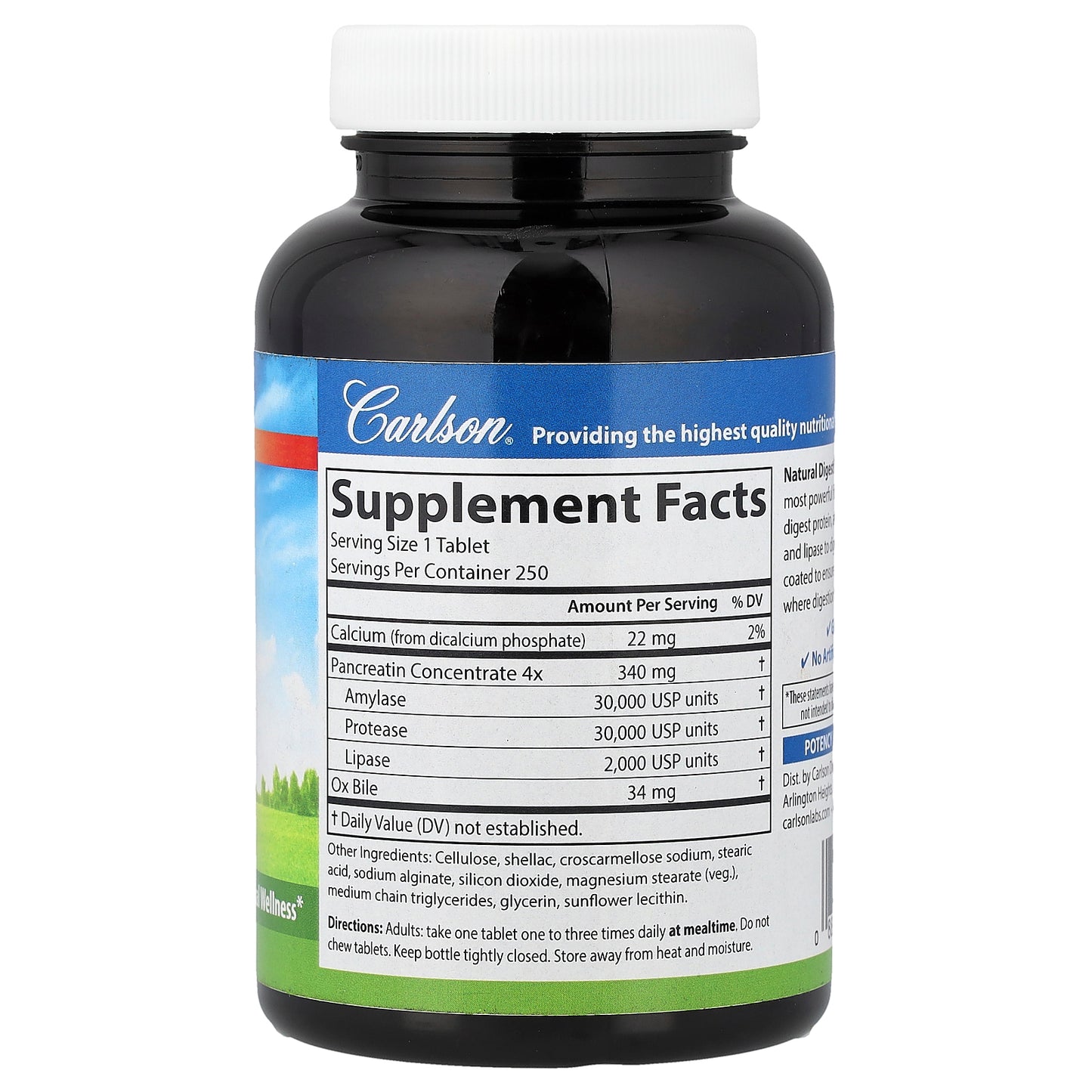 Carlson, Natural Digestive Enzymes with Protease, Amylase & Lipase, 250 Tablets