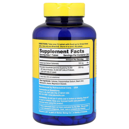 Nature's Life, Pancreatin, 250 Tablets