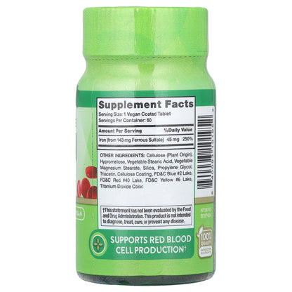 Nature's Truth, Slow Release Iron, 45 mg, 60 Coated Tablets