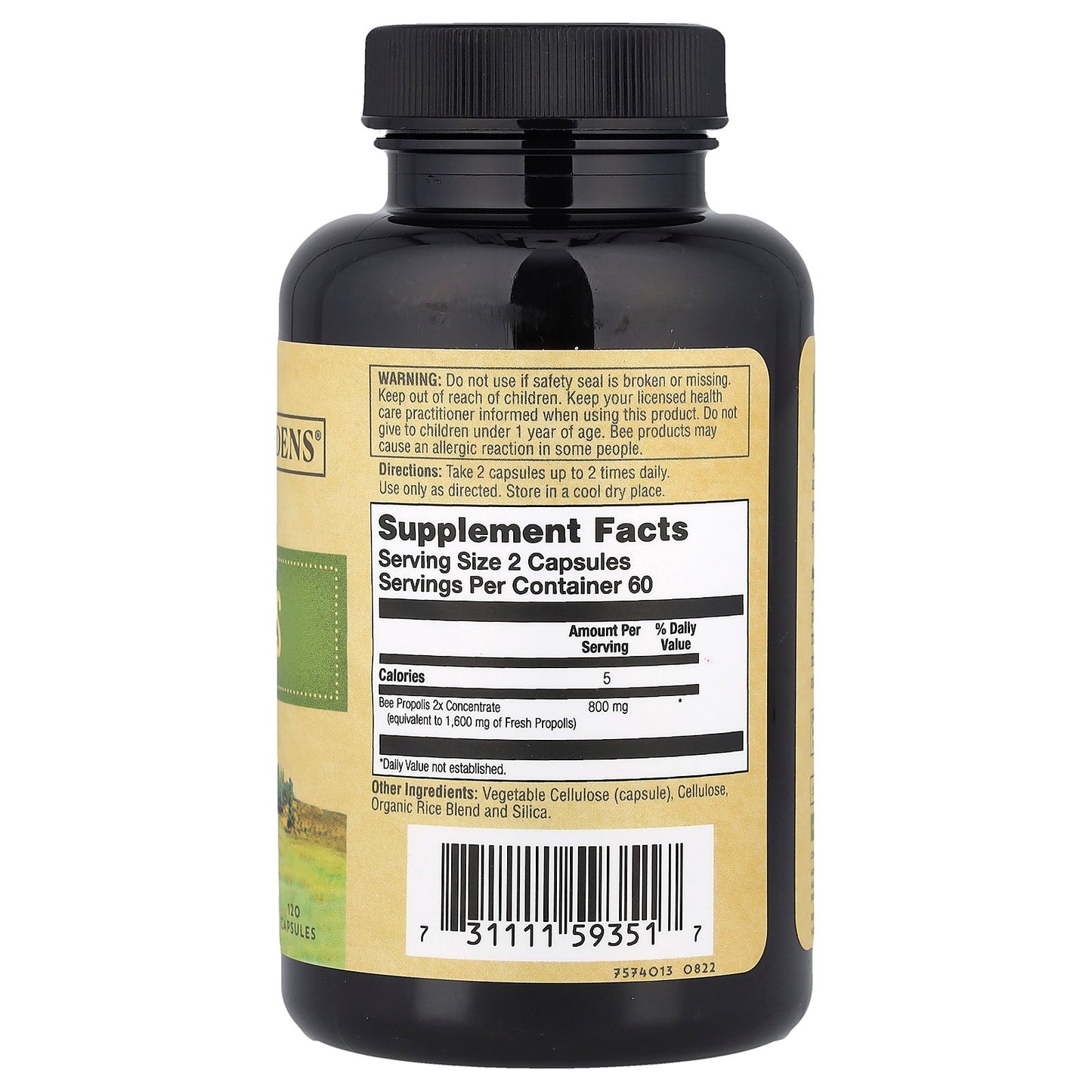 Zand, Bee Propolis, 2X Potency, 120 Capsules (400 mg per Capsule)