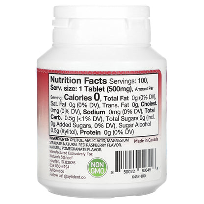 XyliDENT, Dry Mouth, Moisturizing Tablets with Xylitol, Pomegranate Raspberry, 100 Tablets, 1.76 oz (50 g)