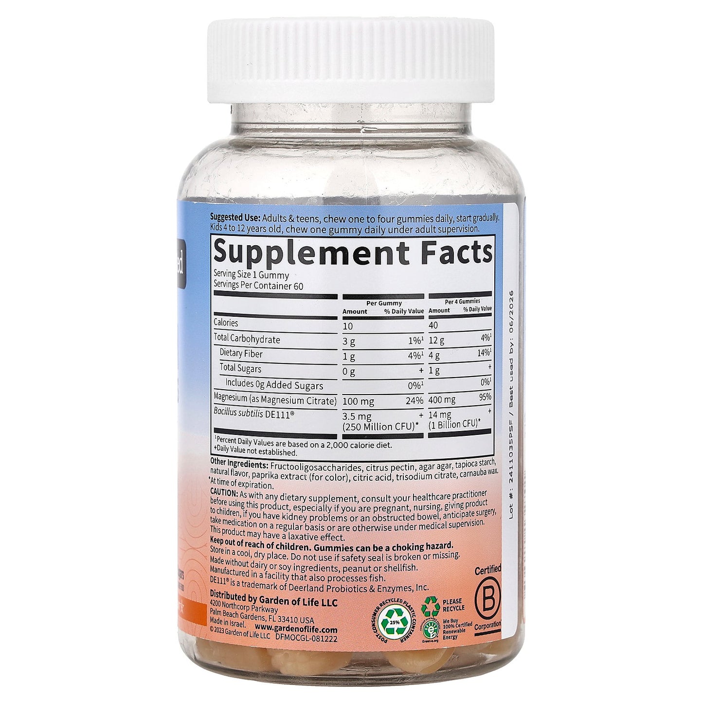 Garden of Life, Magnesium with Pre & Probiotics Gummies, Orange Creme, 60 Gummies