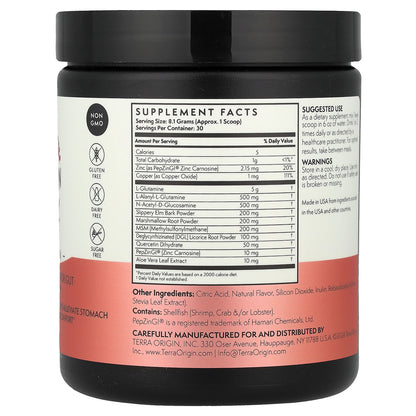 Terra Origin, Healthy Gut™, Watermelon, 8.57 oz (243 g)