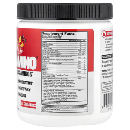 EVLution Nutrition, HydrAmino®, Fruit Punch, 8.7 oz (246 g)