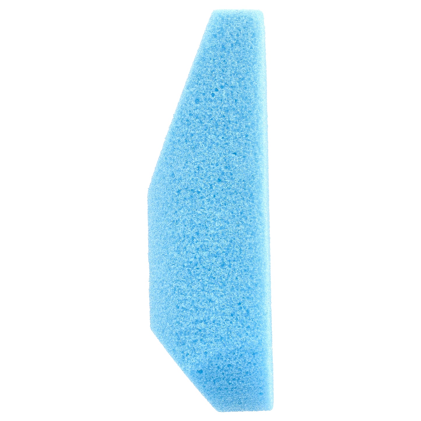 Fran Wilson, Pumice Sponge, 1 Sponge