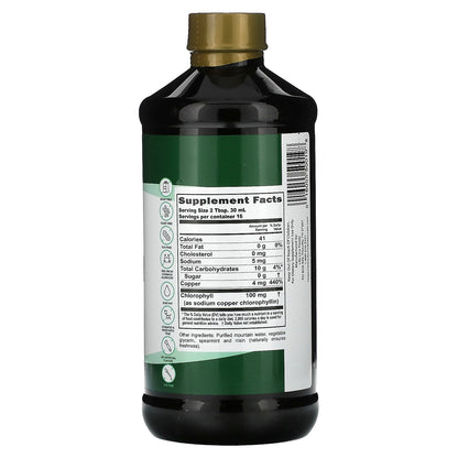 Buried Treasure, Liquid Chlorophyll, Spearmint, 16.54 fl oz (496 ml)