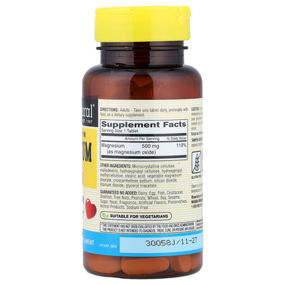 Mason Natural, Magnesium, 500 mg, 100 Tablets