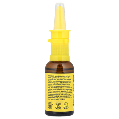 Beekeeper's Naturals, Propolis Nasal Spray, 1 fl oz (30 ml)