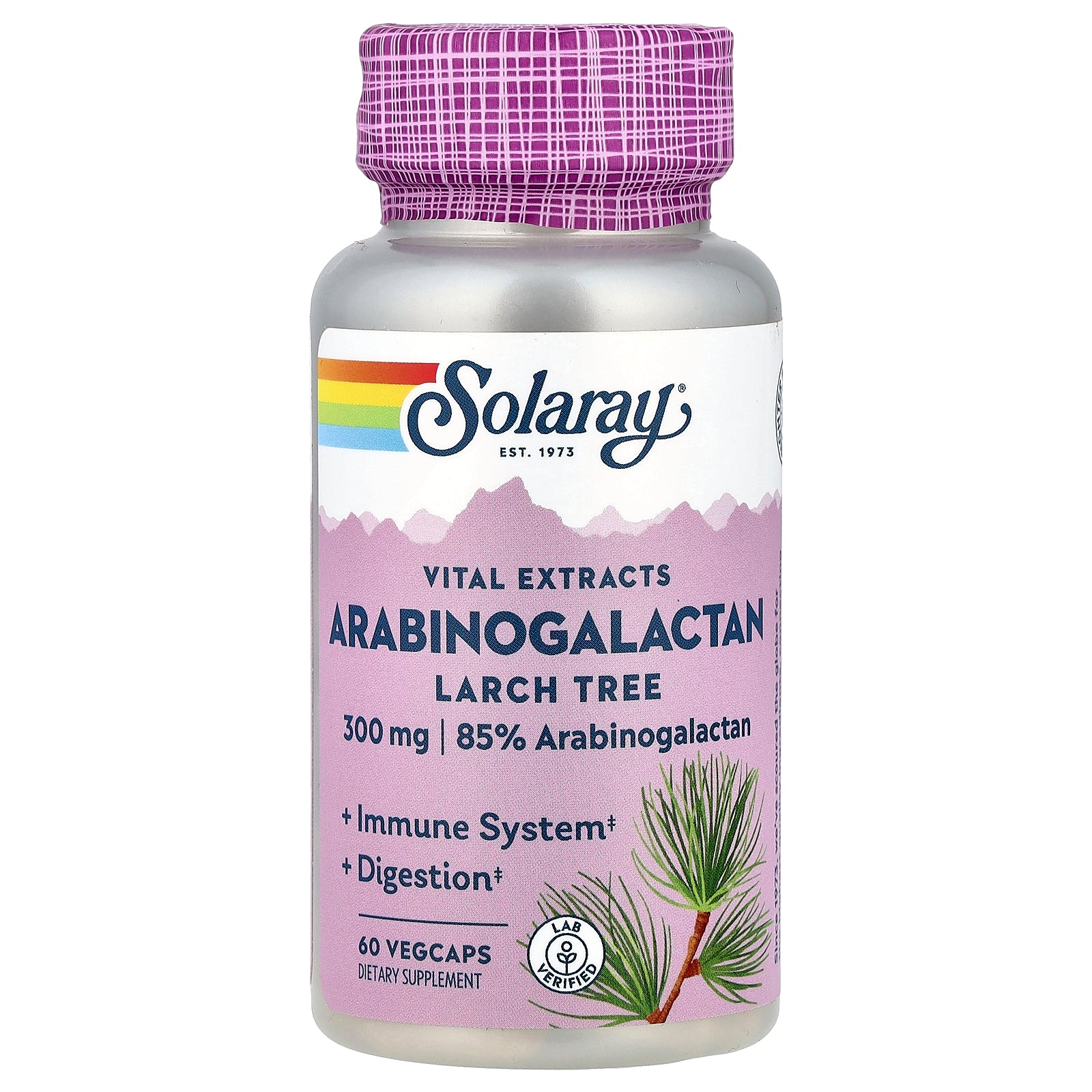 Solaray, Vital Extracts, Arabinogalactan, Larch Tree, 300 mg, 60 Vegcaps