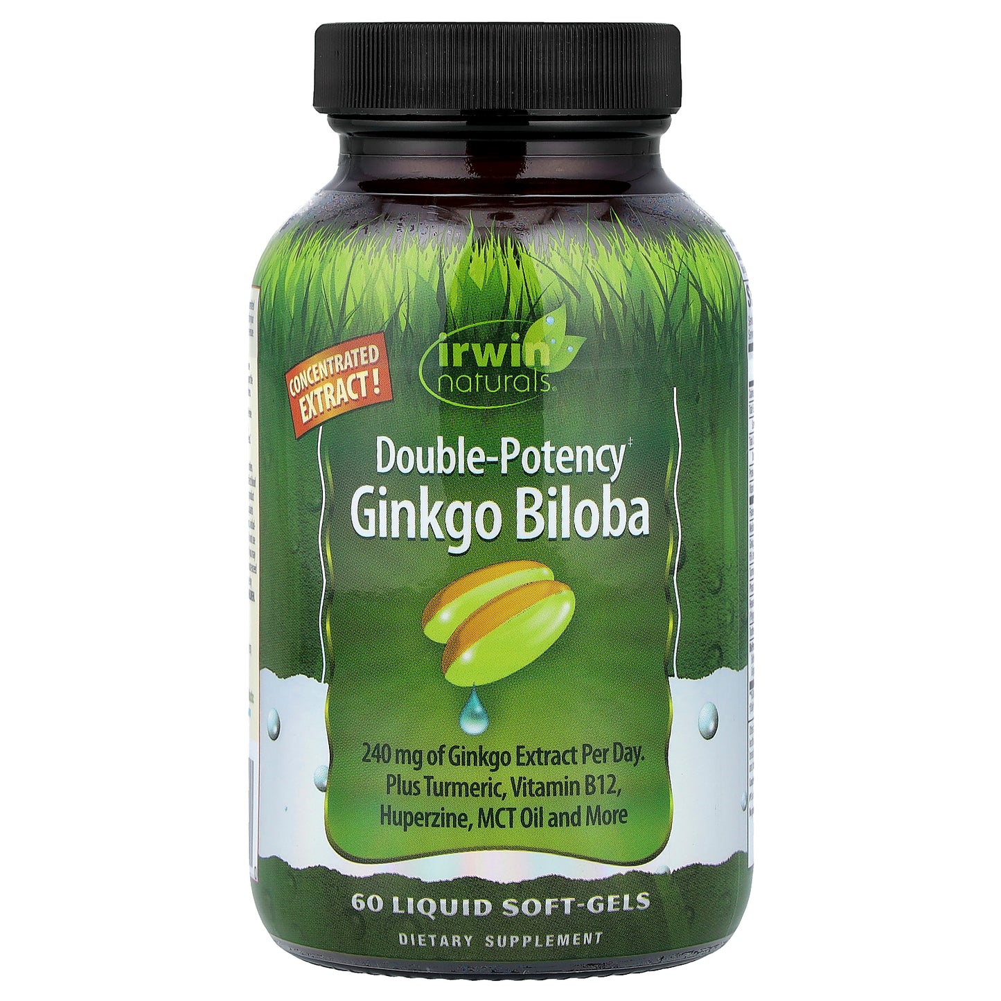 Irwin Naturals, Ginkgo Biloba, 60 Liquid Soft-Gels