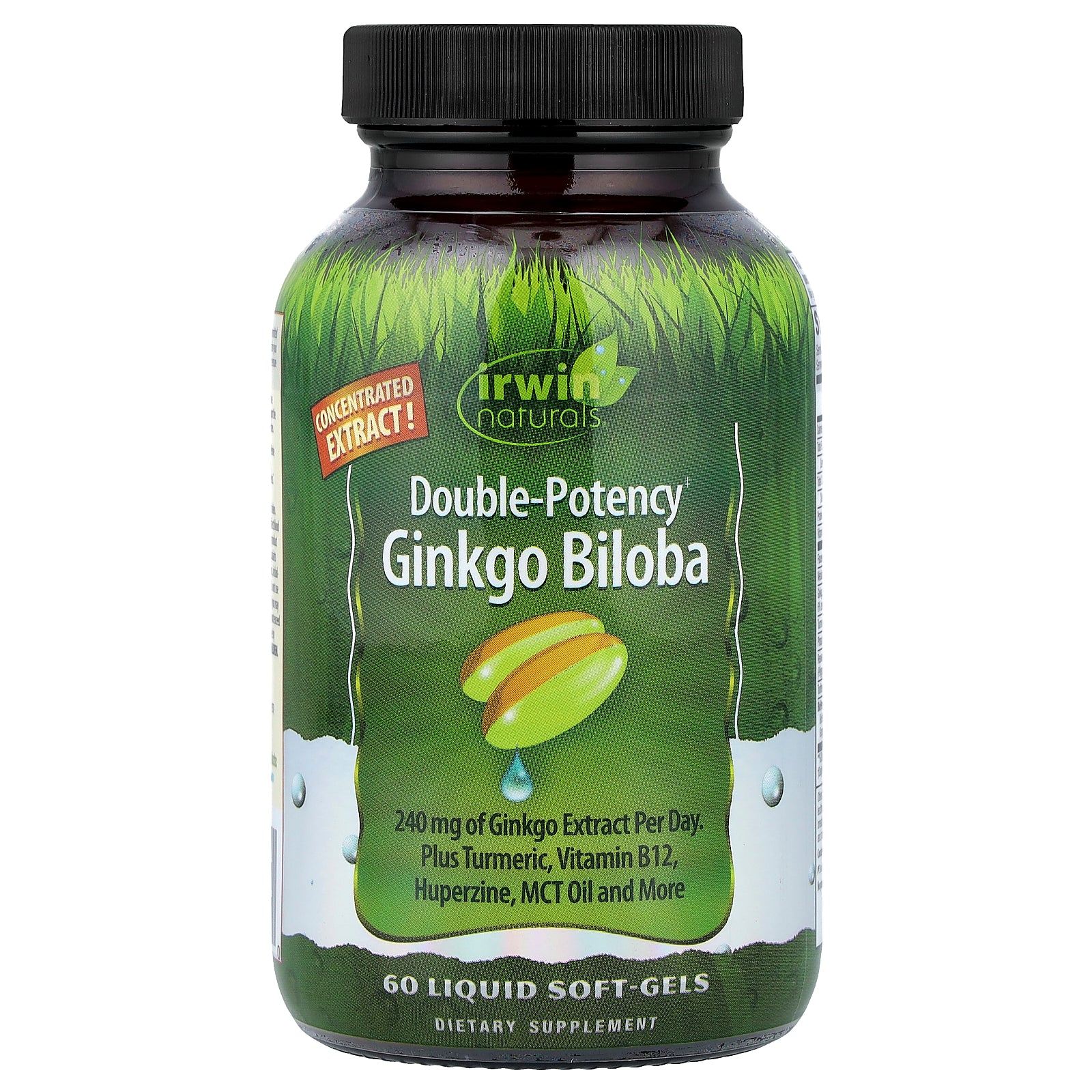 Irwin Naturals, Ginkgo Biloba, 60 Liquid Soft-Gels
