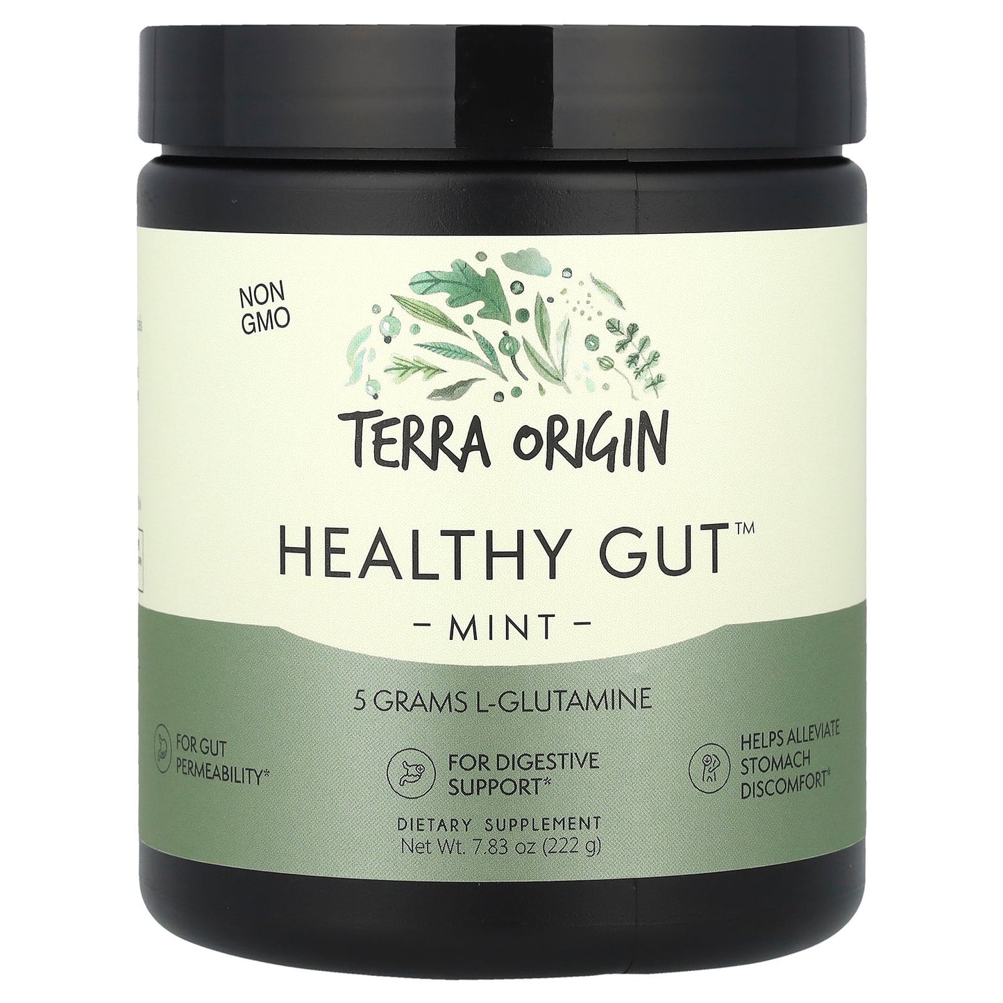 Terra Origin, Healthy Gut™, Mint, 7.83 oz (222 g)