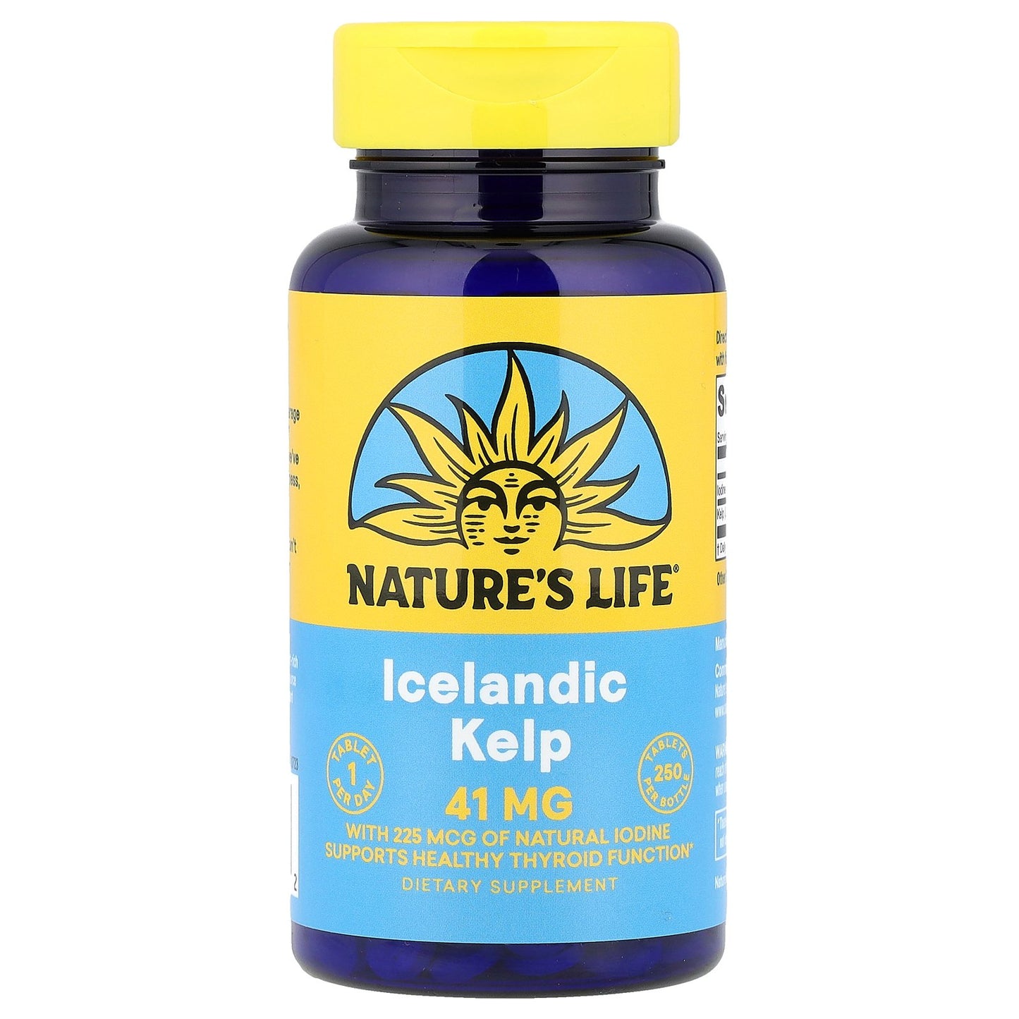 Nature's Life, Icelandic Kelp, 41 mg, 250 Tablets