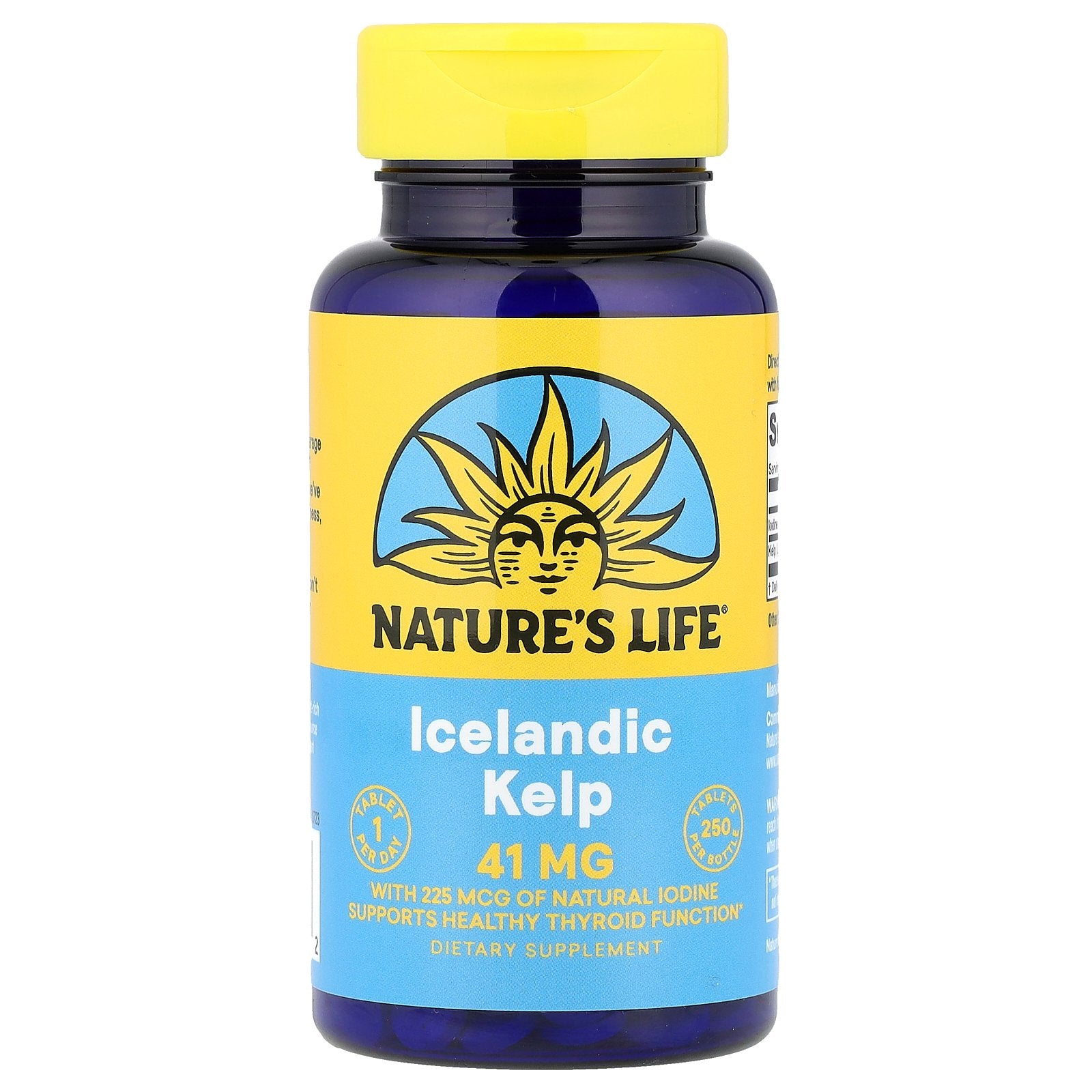 Nature's Life, Icelandic Kelp, 41 mg, 250 Tablets