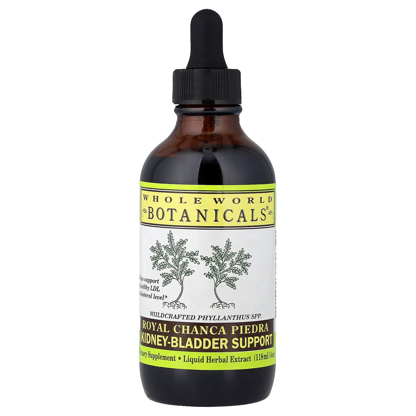 Whole World Botanicals, Royal Chanca Piedra Kidney-Bladder Support, 4 oz (118 ml)