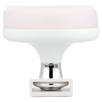 Benton, Pore Clear Brush, 1 Count