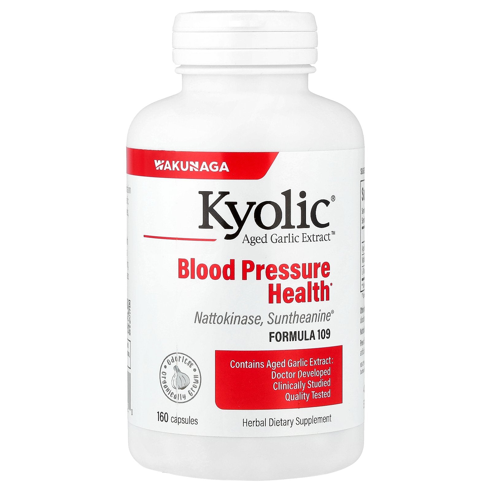 Kyolic, Aged Garlic Extract™, Blood Pressure Health, Formula 109, 160 Capsules