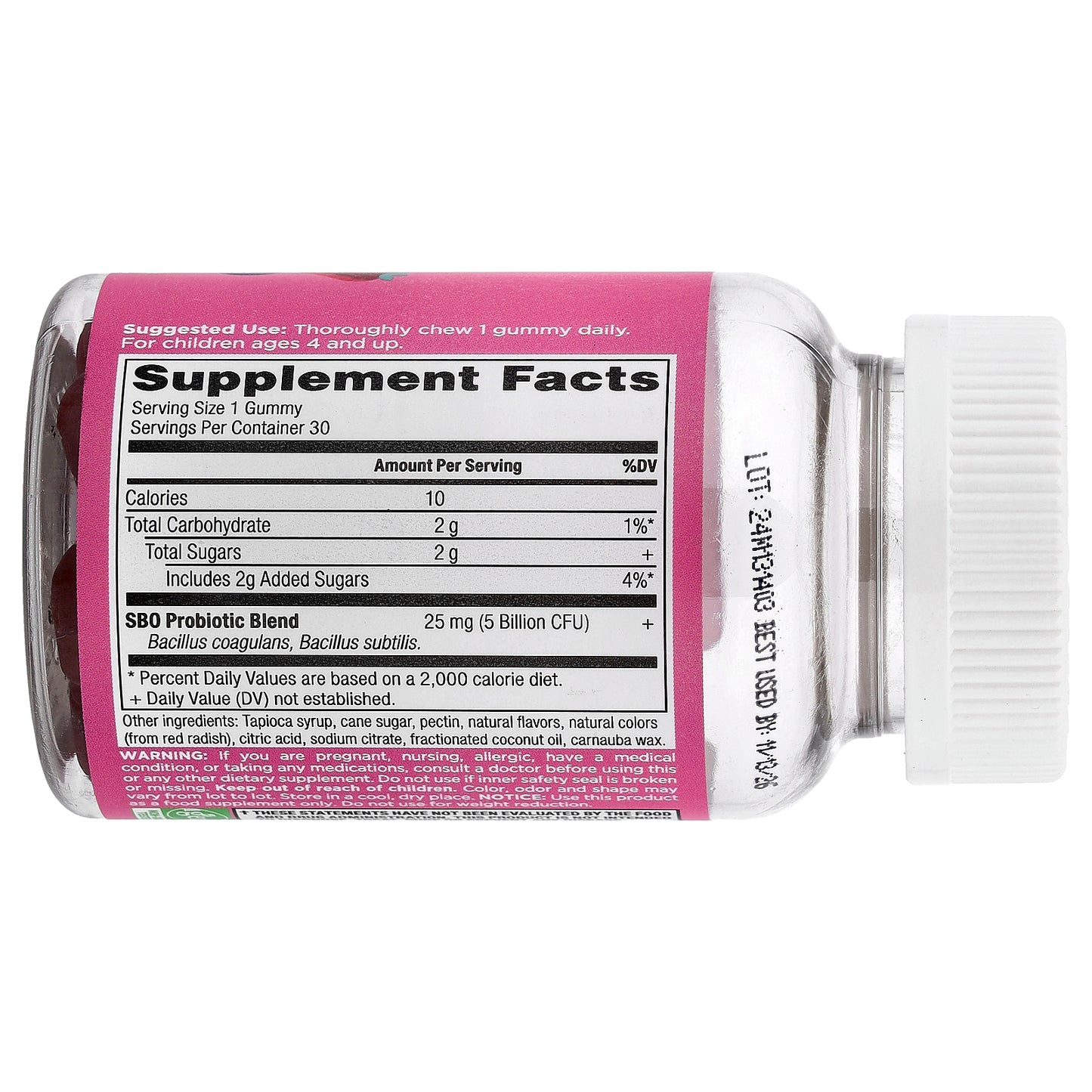 Ancient Nutrition, Kids, SBO Probiotics Gummies, Berry, 5 Billion CFU, 30 Gummies