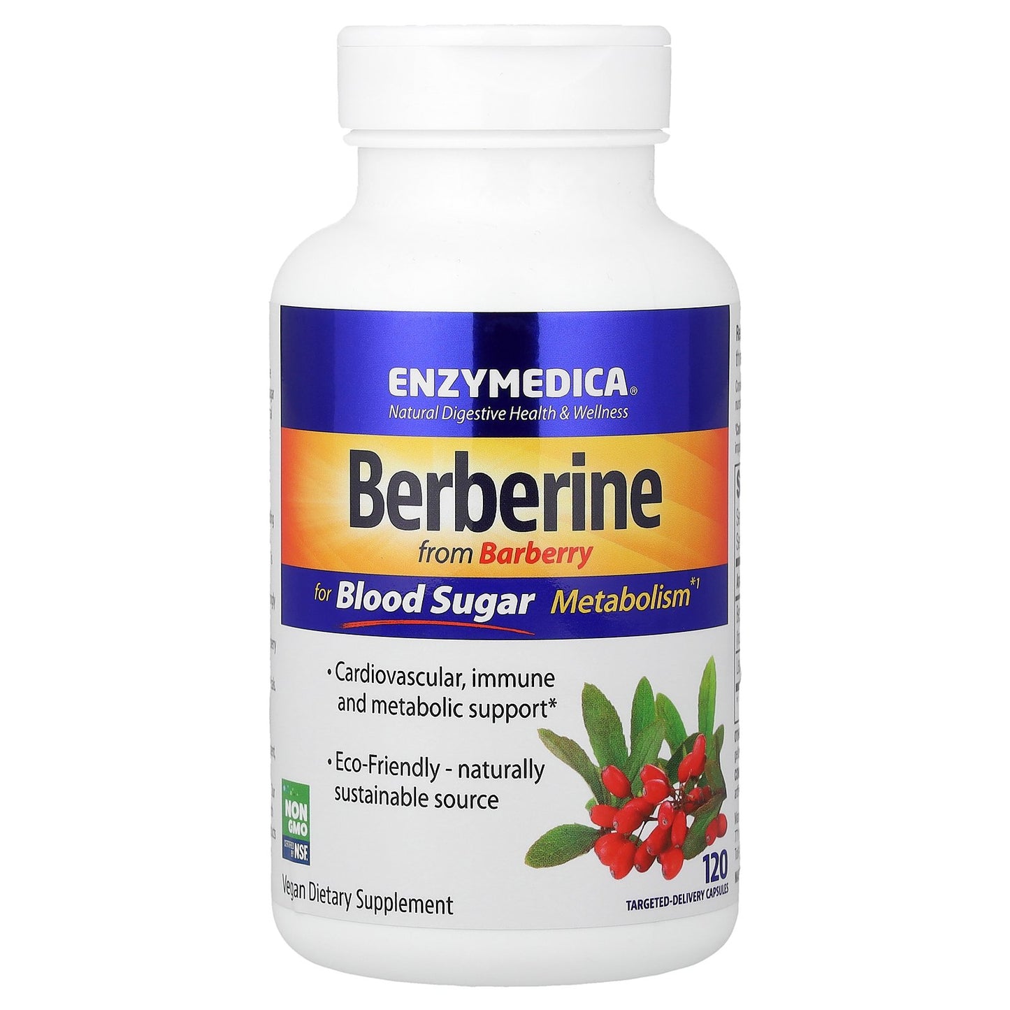 Enzymedica, Berberine, 120 Targeted-Delivery Capsules