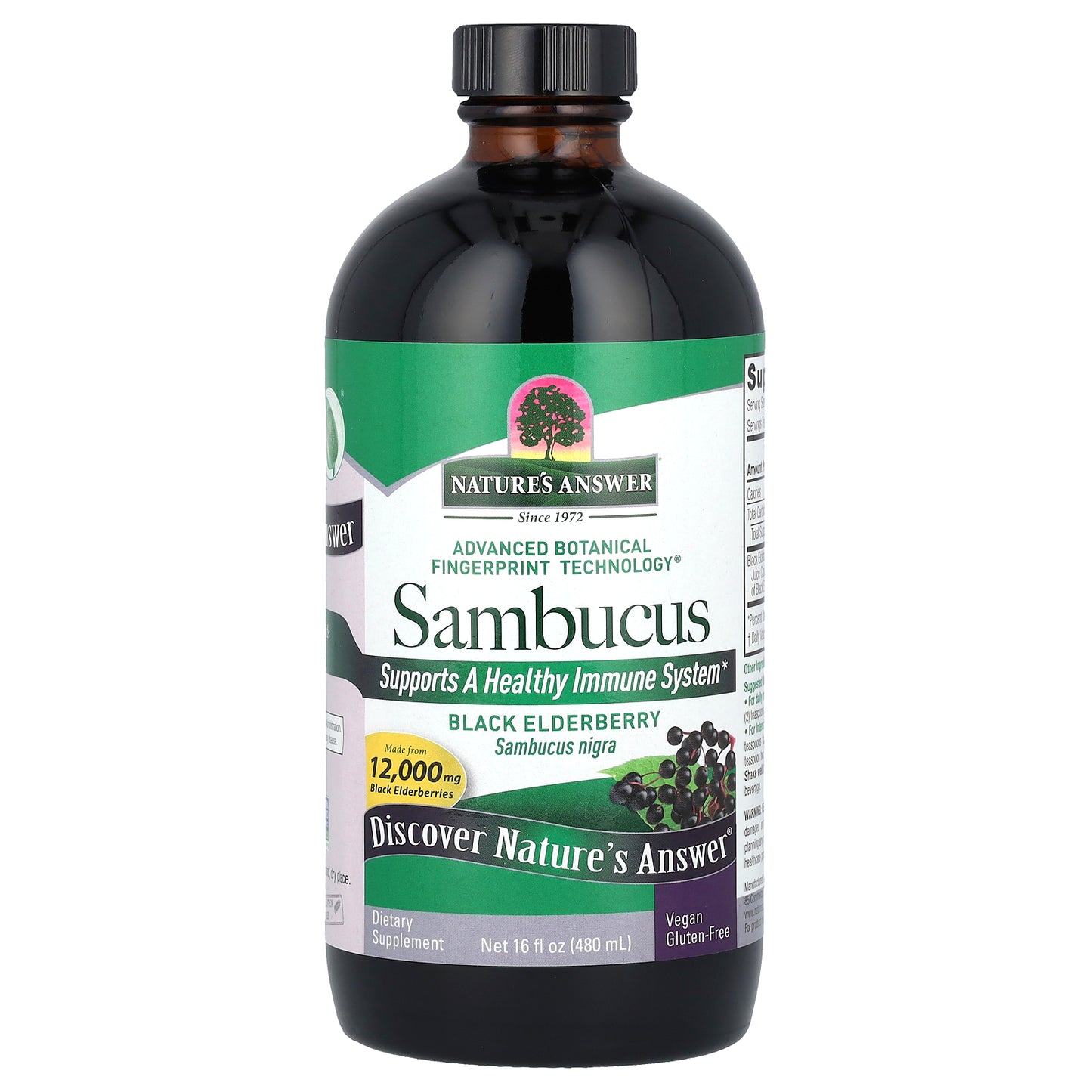 Nature's Answer, Sambucus, Black Elderberry, Alcohol-Free, 12,000 mg, 16 fl oz (480 ml)