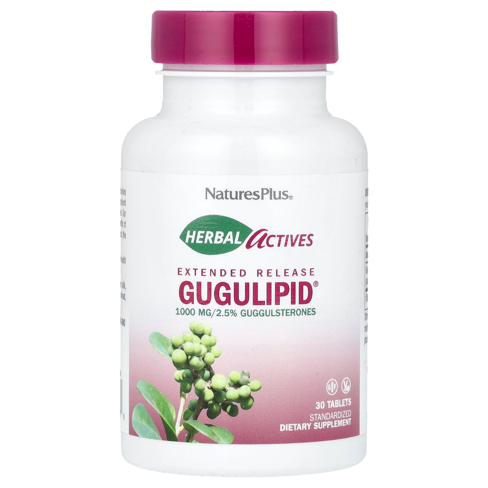 NaturesPlus, Herbal Actives, Gugulipid®, Extended Release, 1,000 mg, 30 Tablets