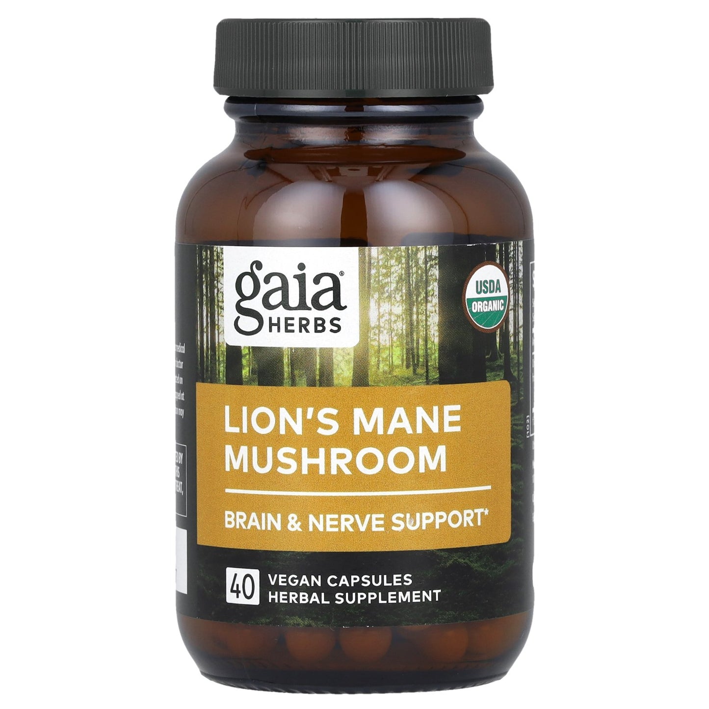 Gaia Herbs, Lion's Mane Mushroom, 40 Vegan Capsules