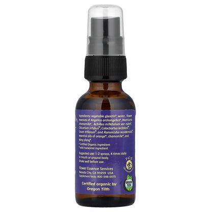 Flower Essence Services, Kinder Garden™, Non-Alcohol Formula, 1 oz, (30 mL)