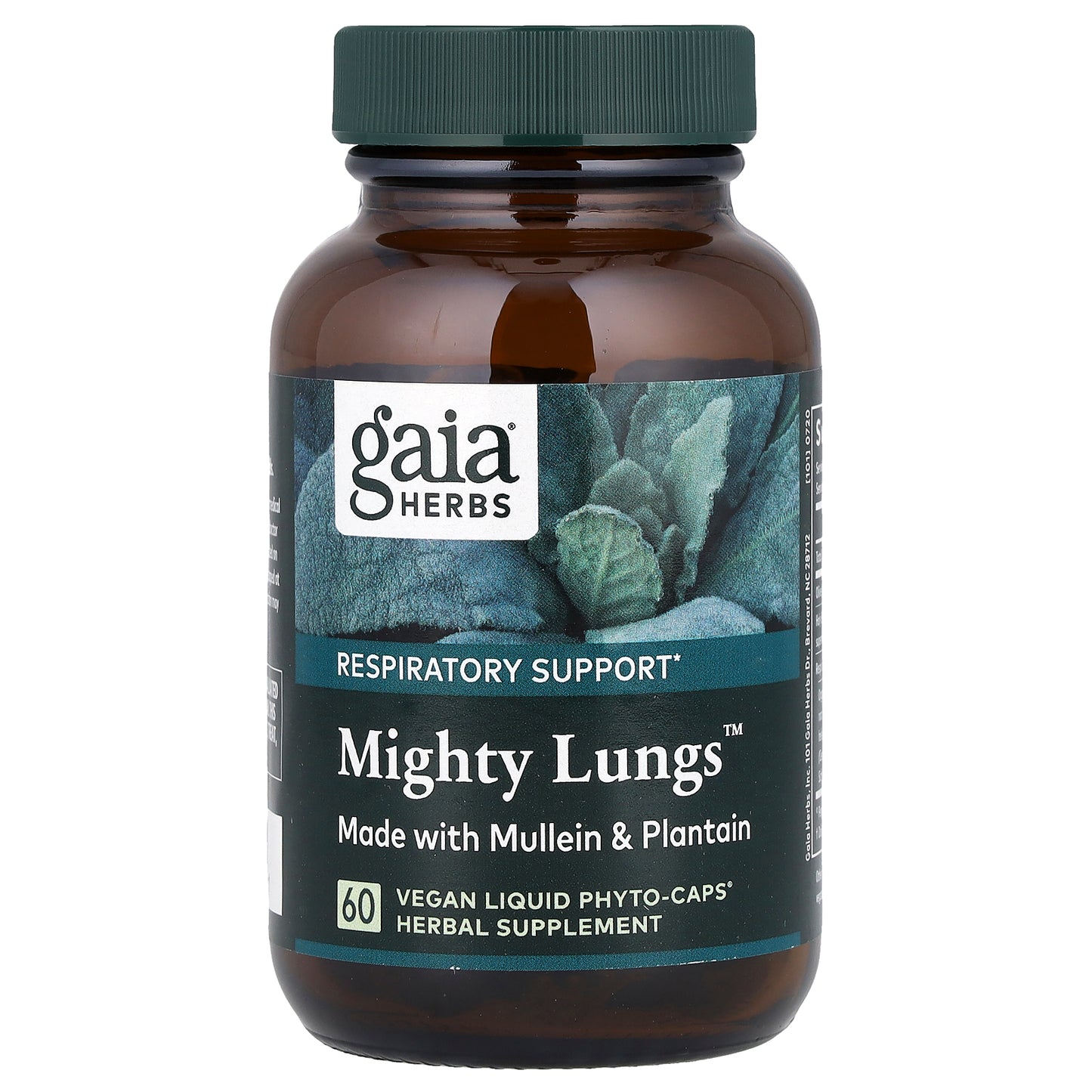 Gaia Herbs, Mighty Lungs™, 60 Liquid Phyto-Caps®