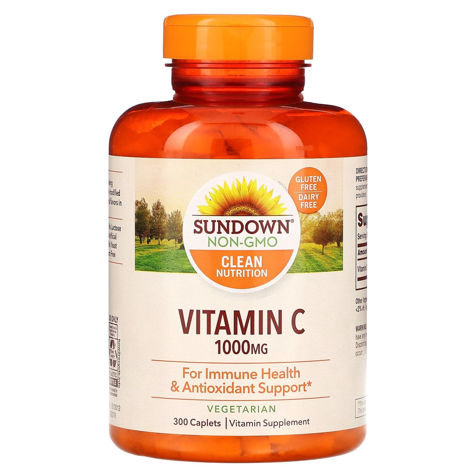 Sundown Naturals, Vitamin C, 1,000 mg, 300 Caplets