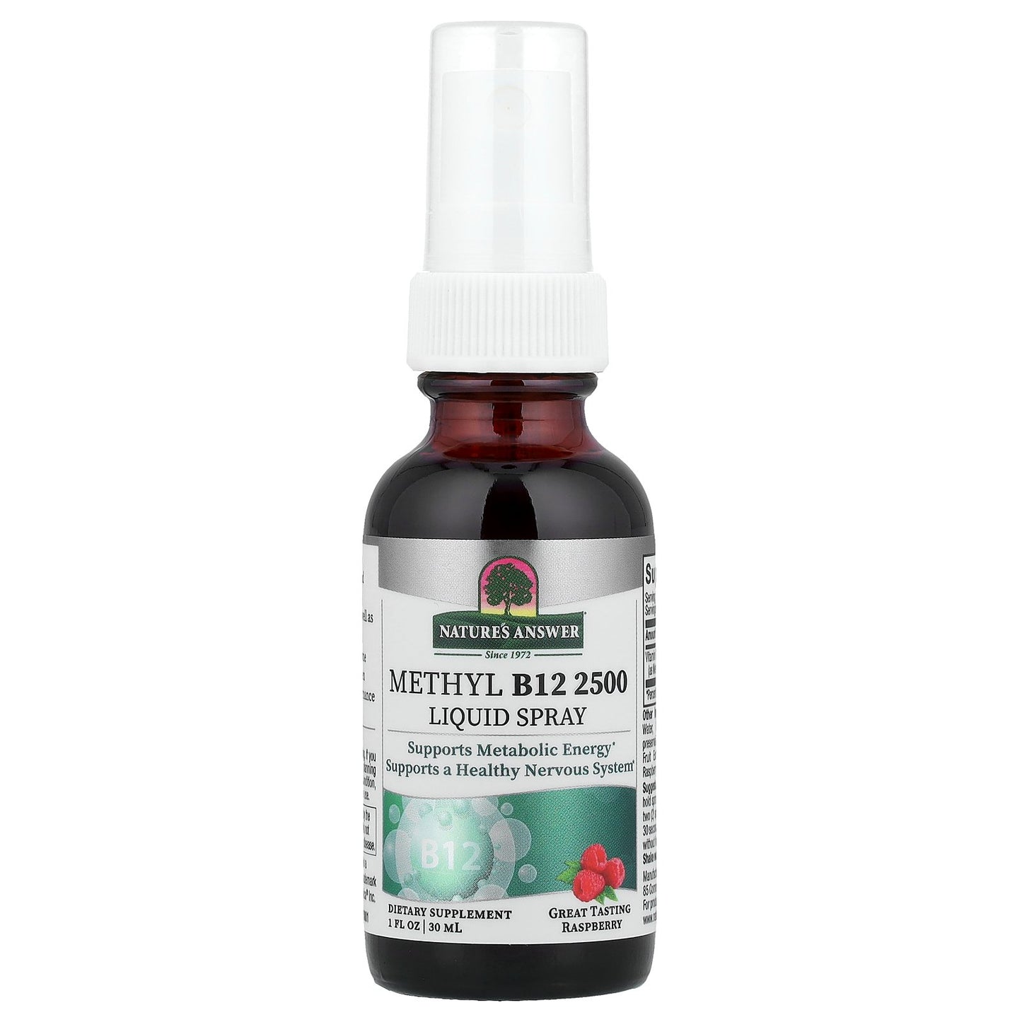 Nature's Answer, Methyl B12 2500 Liquid Spray, Raspberry, 1 fl oz (30 ml)