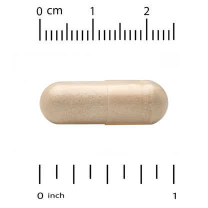 Super Nutrition, Bergamot Phytosome with Citrus Bergamot Extract, 500 mg, 60 Veggie Capsules