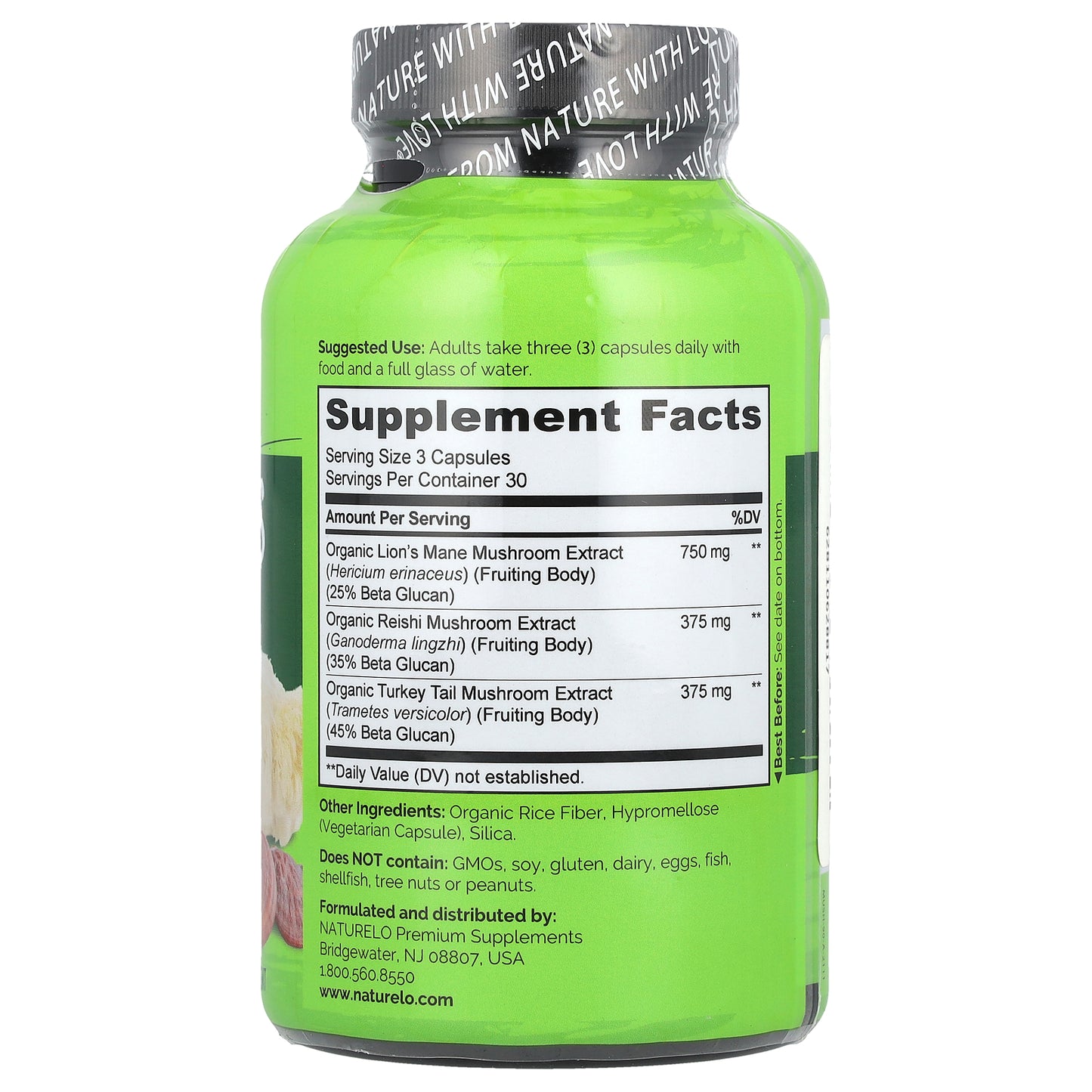 NATURELO, Mushrooms, Brain + Immune Blend, 90 Vegetarian Capsules