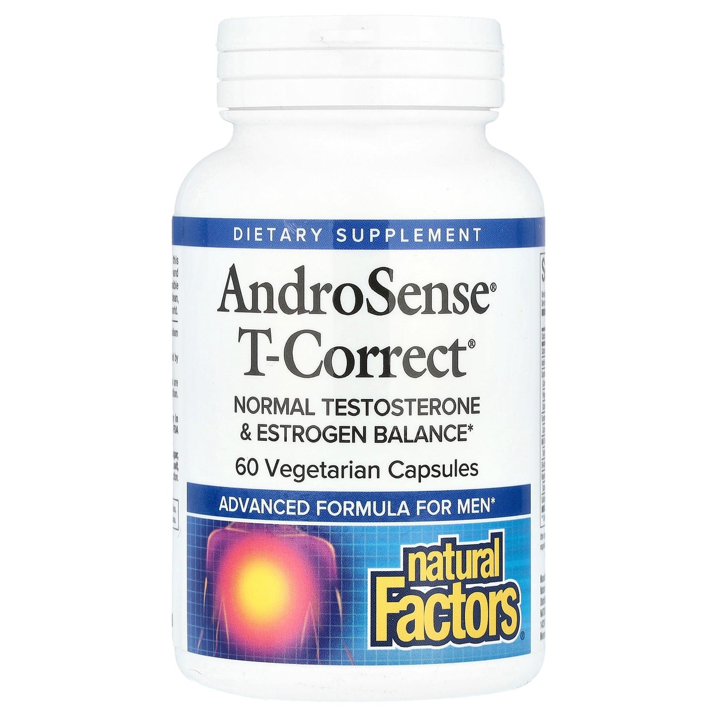 Natural Factors, AndroSense® T-Correct, 60 Vegetarian Capsules
