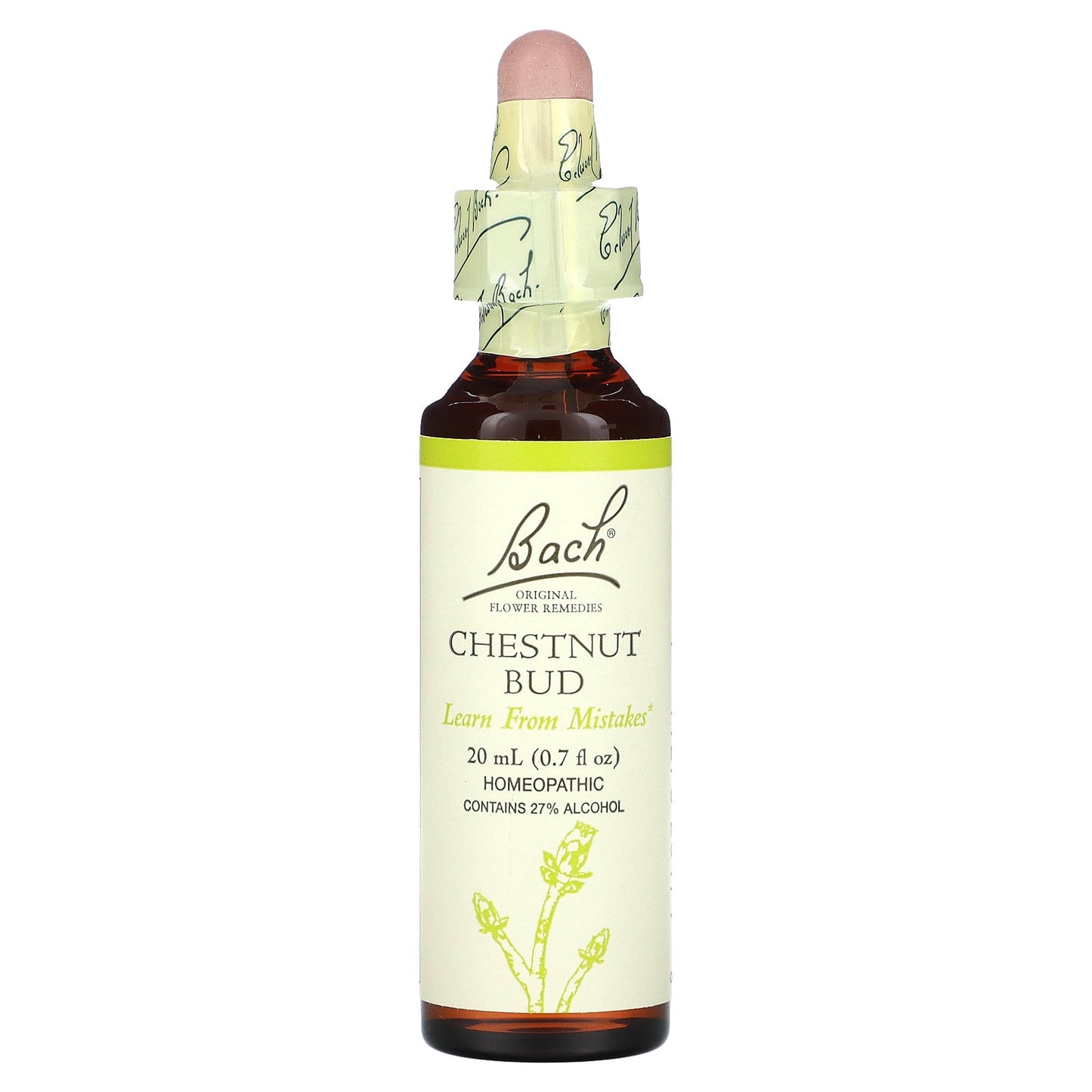 Bach, Original Flower Remedies, Chestnut Bud, 0.7 fl oz (20 ml)