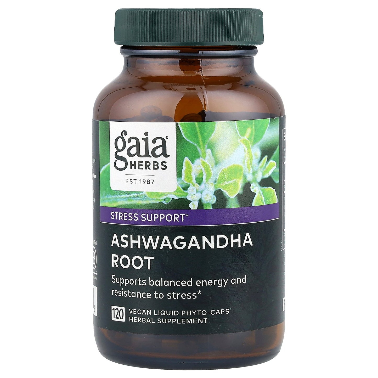 Gaia Herbs, Ashwagandha Root, 350 mg, 120 Vegan Liquid Phyto-Caps®