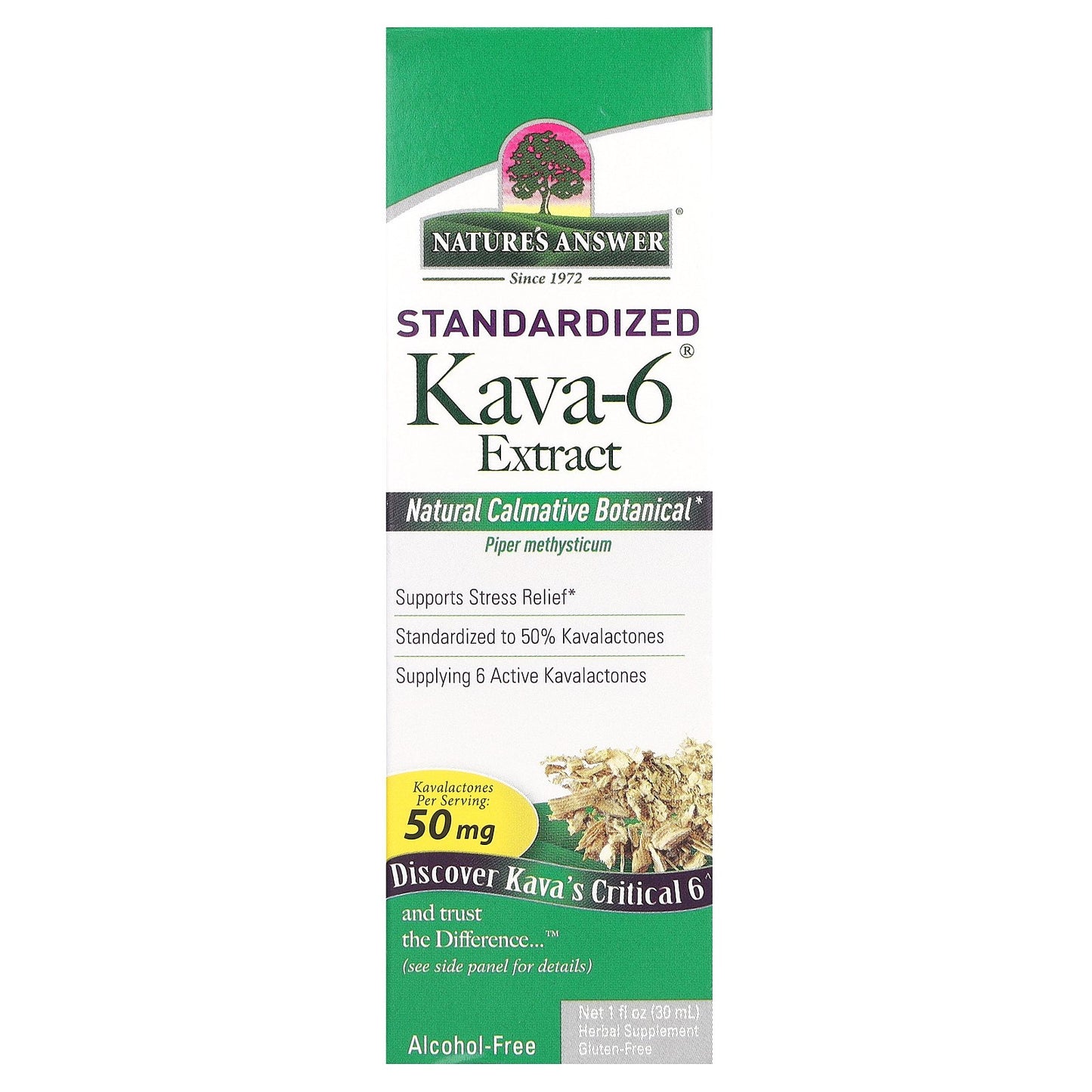Nature's Answer, Kava-6 Extract, Standardized, Alcohol-Free, 100 mg, 1 fl oz (30 ml)