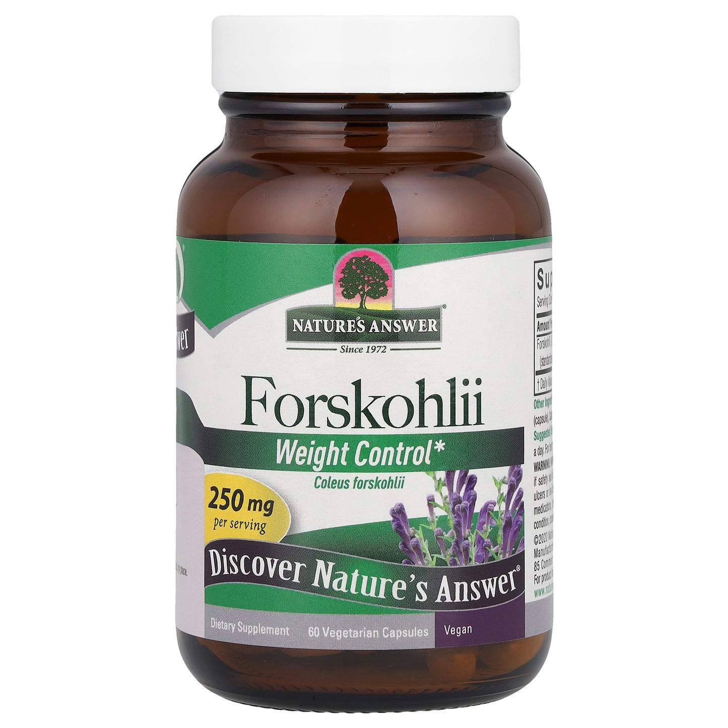 Nature's Answer, Forskohlii, 250 mg, 60 Vegetarian Capsules