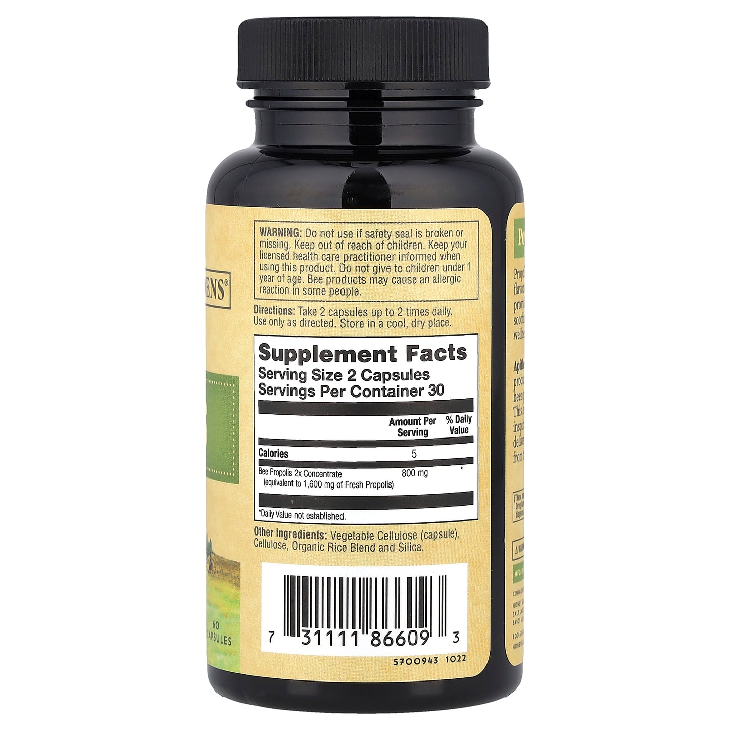 Zand, Bee Propolis, 2x Potency, 60 Capsules (400 mg per Capsule)